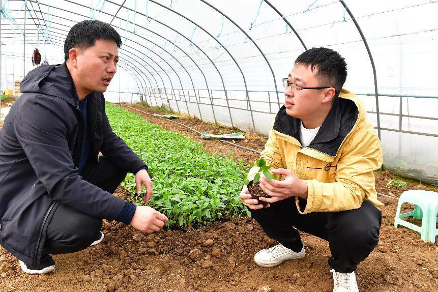 安徽巢湖：149名特科特派員奔赴春耕生產(chǎn)一線