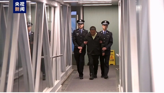 職務(wù)犯罪嫌疑人郭柏春被遣返回國