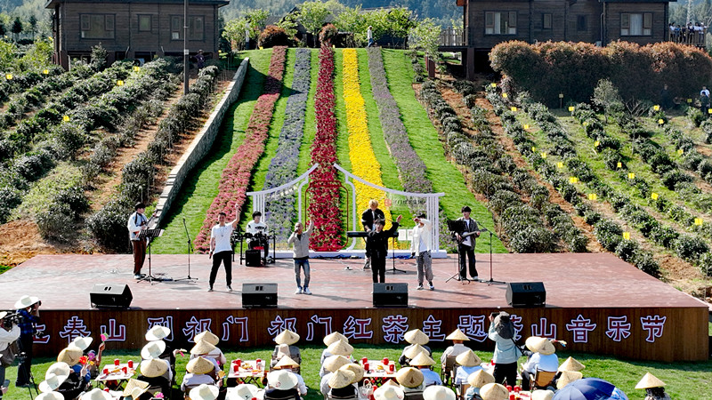 「音樂(lè)午茶」香飄四方 2024祁門紅茶主題茶山音樂(lè)節(jié)成功舉辦