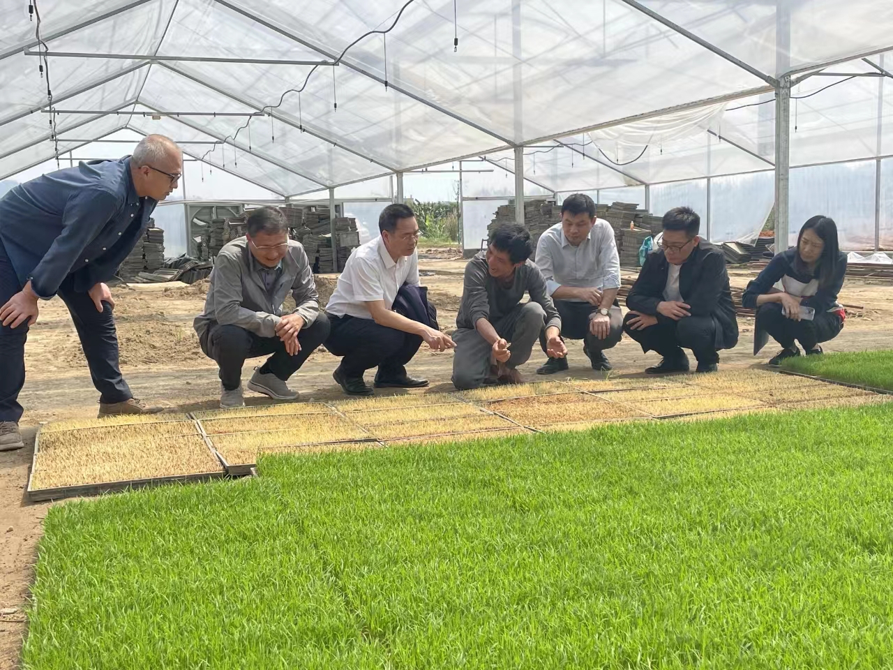 粵港澳大灣區(qū)人才武江行  粵農(nóng)科院專家田頭指導(dǎo)助力春耕