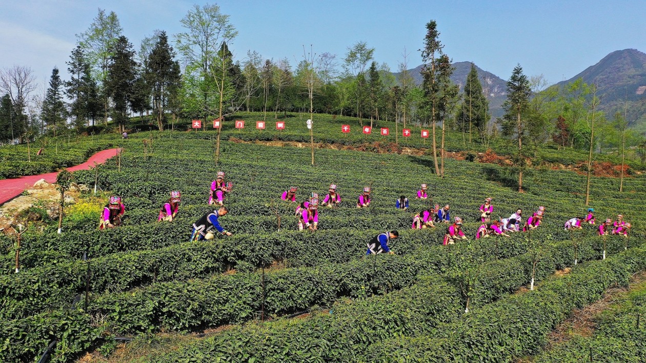 北川2024中國美麗鄉(xiāng)村休閒旅遊行（春季）精品線路發(fā)佈