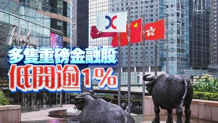 【開(kāi)市焦點(diǎn)】港股低開(kāi)116點(diǎn)  金融股向下