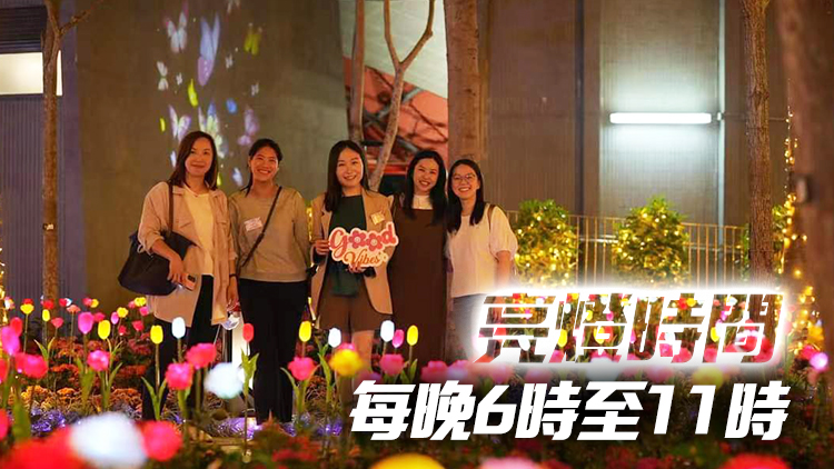 設(shè)逾8000枝彩色LED花 東區(qū)文化廣場(chǎng)最新打卡地標(biāo)開幕