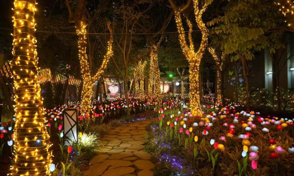 多圖丨「流光溢彩耀東區(qū)」打卡地標(biāo)已開幕 民政總署冀提振地區(qū)經(jīng)濟(jì)