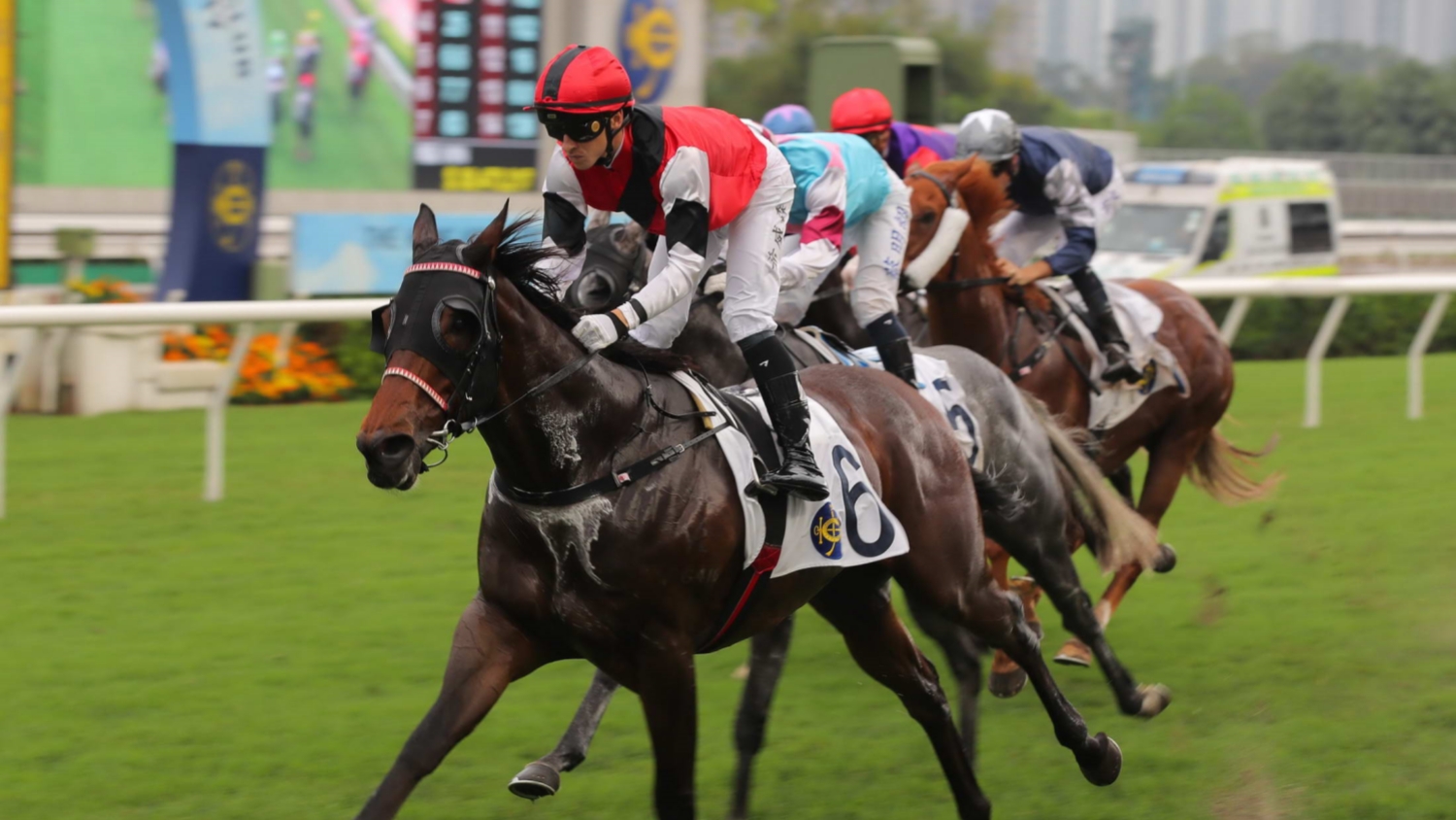 有片 | 萬事快開齋勇奪香港賽馬會社群盃