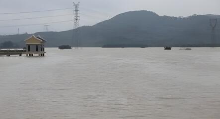 轉(zhuǎn)擴(kuò)！遭遇暴雨如何應(yīng)對(duì)？避險(xiǎn)指南來(lái)了