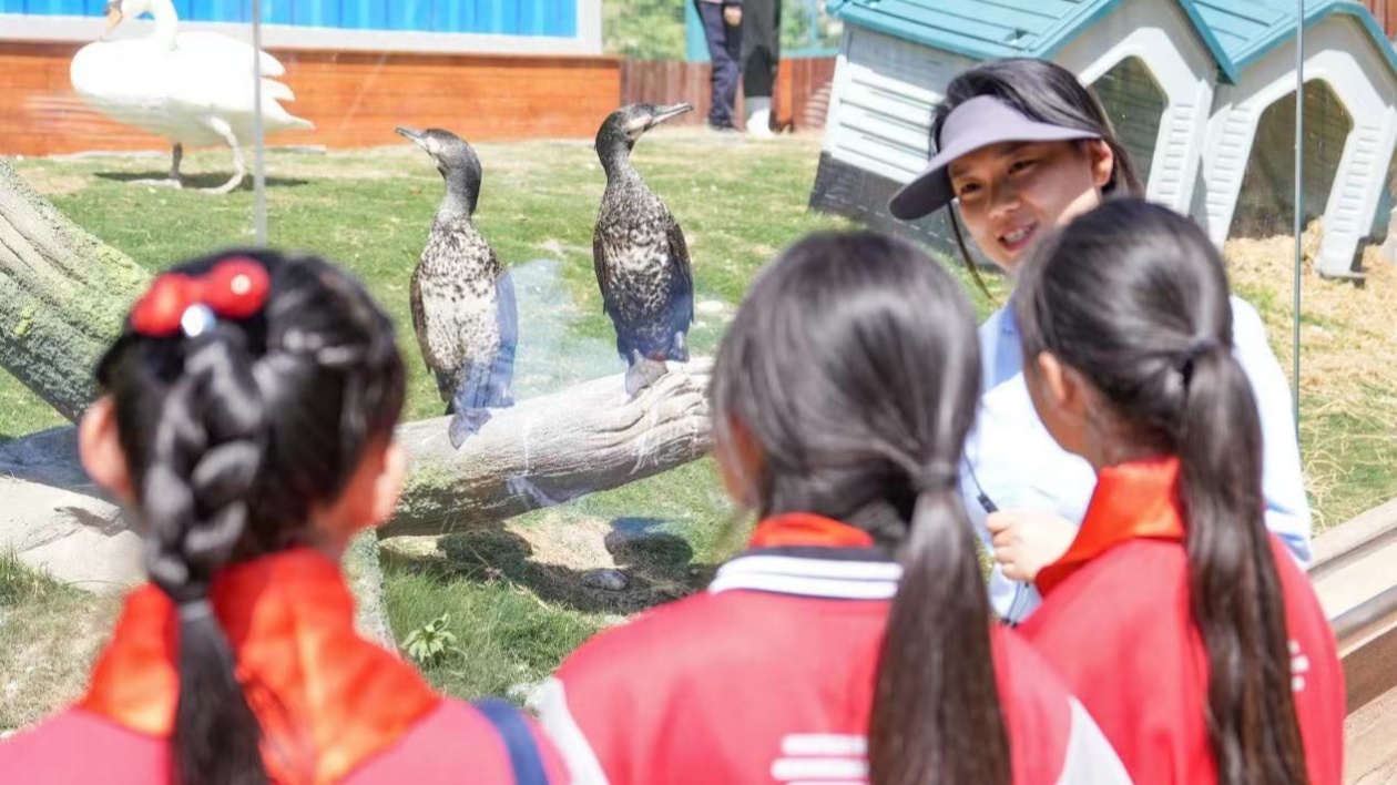 走進(jìn)海洋  愛鳥護(hù)鳥：鄭州海昌開展「愛鳥周」科普活動(dòng)