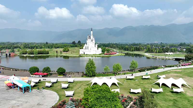 5.1來打卡 四川綿竹14萬餘株月季已競(jìng)相綻放