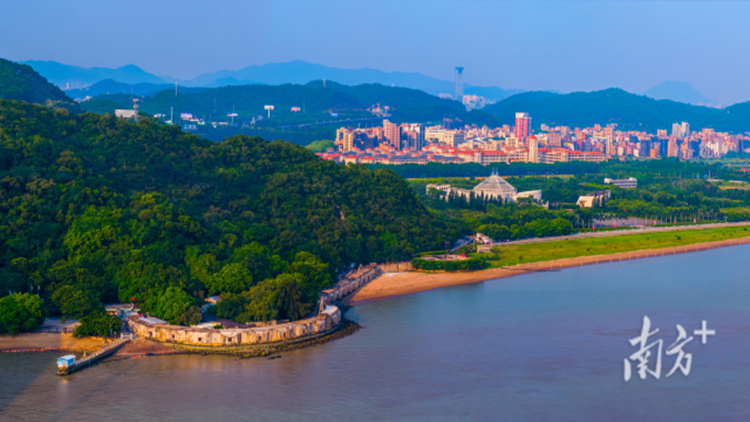 五一這些景點(diǎn)最值得推薦！虎門寶藏旅遊線路來啦