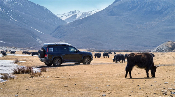 比亞迪通信信號攜手中國電信 推出汽車直連衛(wèi)星業(yè)務(wù)
