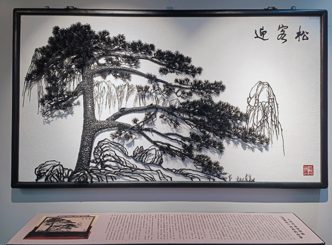 有片|網(wǎng)民看蕪湖 品鑒文化之美