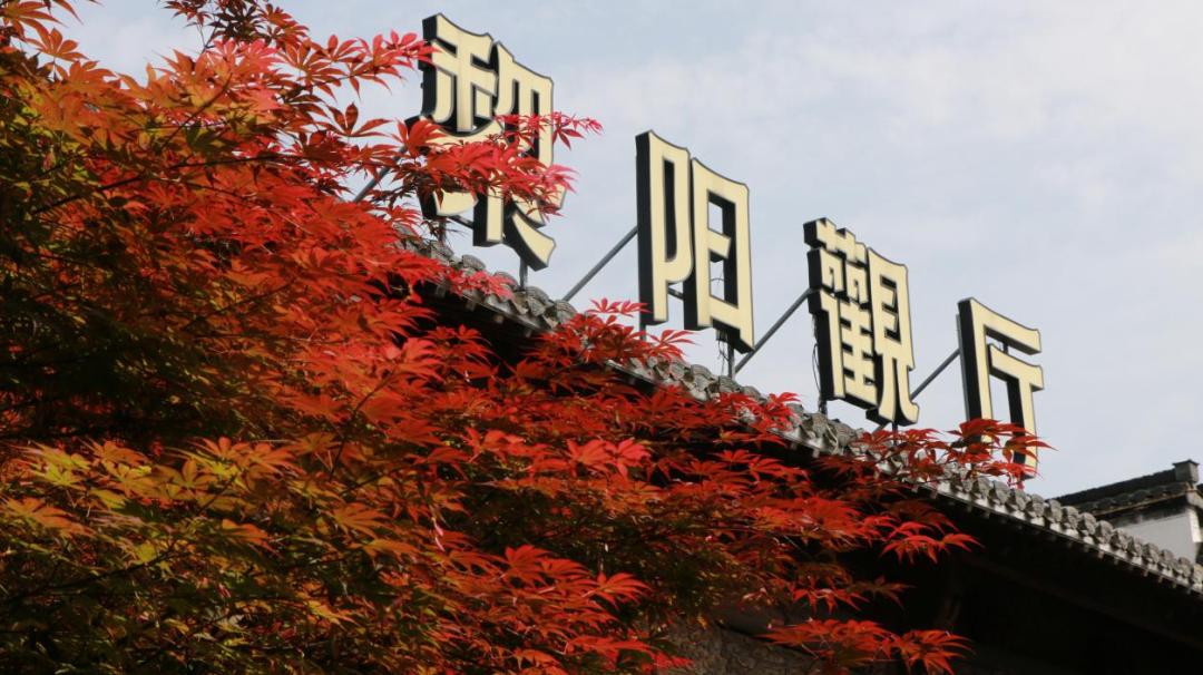 服務(wù)加持體驗(yàn)  皖屯溪「五一」酒店民宿預(yù)訂搶手