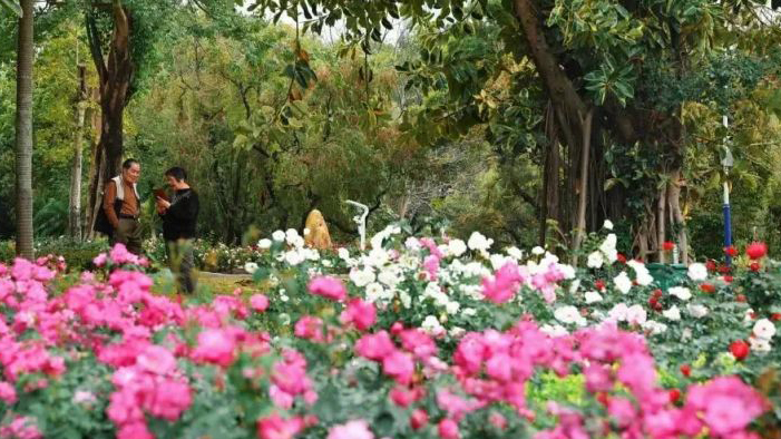 音樂(lè)盛會(huì)、文體活動(dòng)、三徑三線(xiàn)……快來(lái)get深圳「五一」公園遊玩攻略