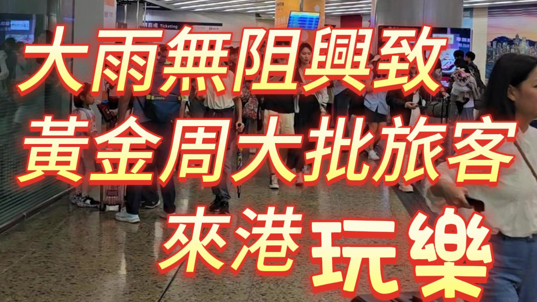 有片｜大雨無(wú)阻興致！黃金周大批旅客來(lái)港玩樂