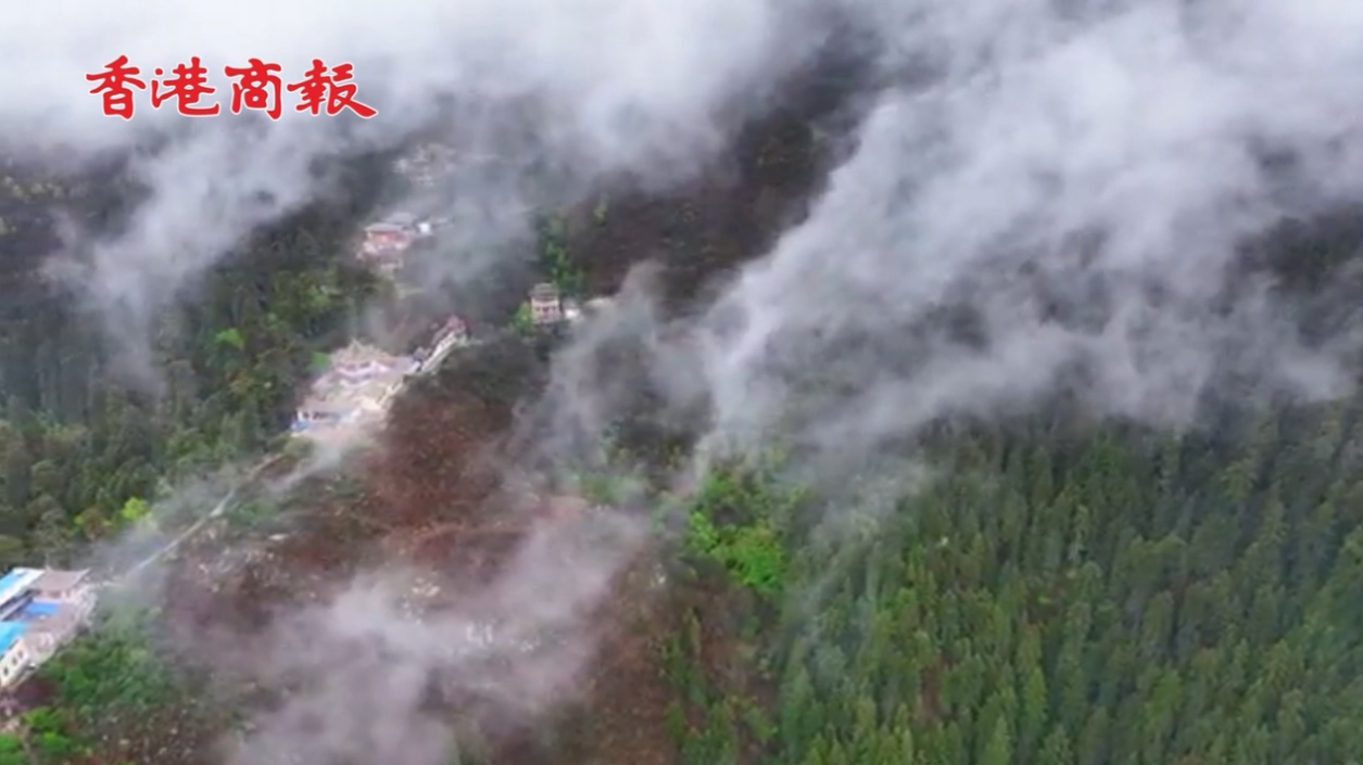 有片丨雨後隆山 雲(yún)海壯闊若仙境