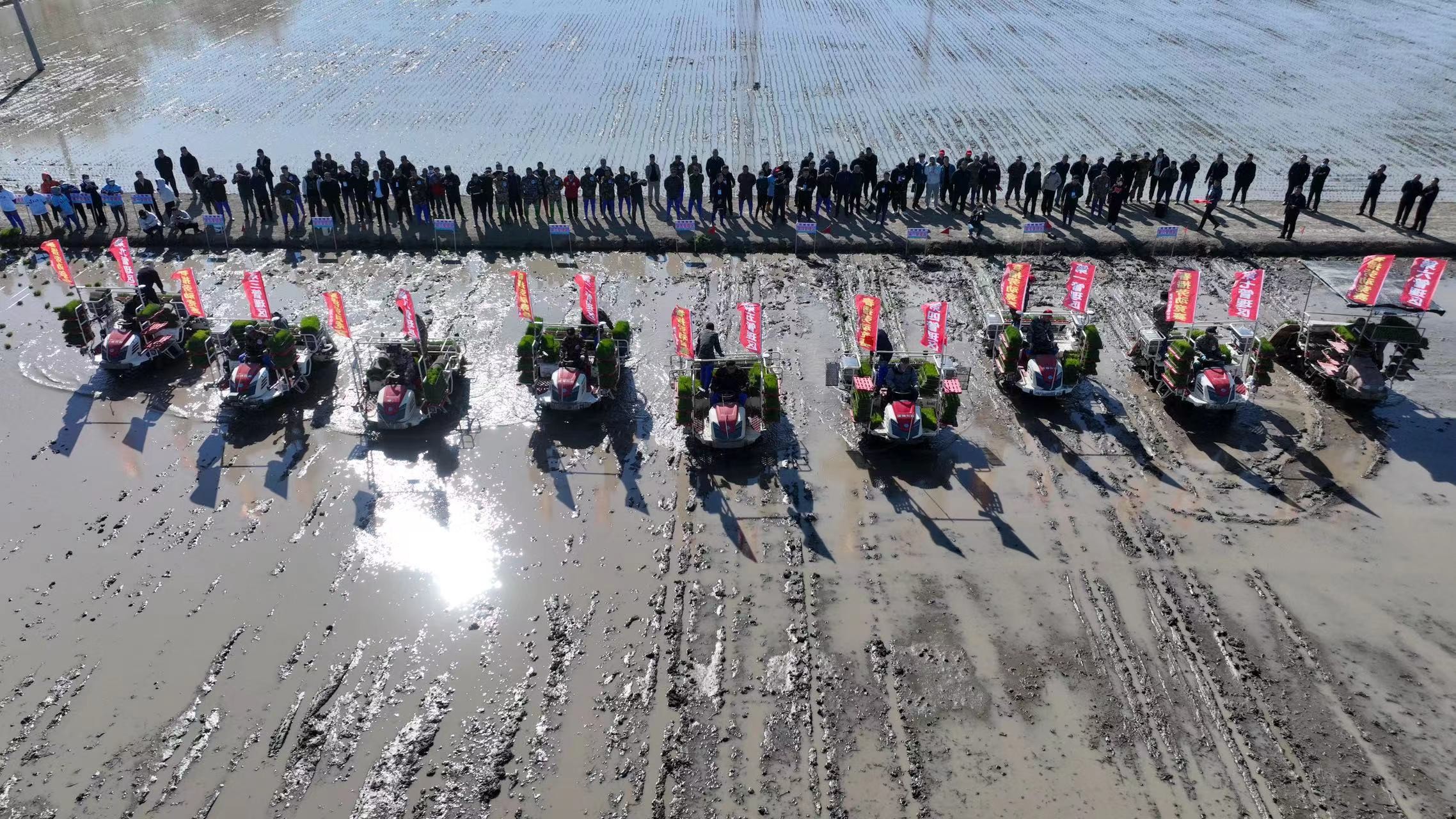 北大荒集團(tuán)建三江分公司：大地?fù)Q新裝 千萬畝良田進(jìn)入「插秧季」