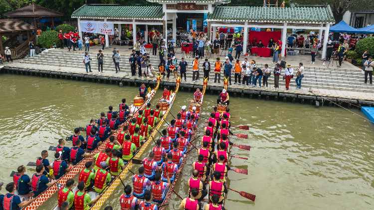 36支龍舟奮楫廣州海珠濕地  12支金盃組的龍舟隊(duì)伍脫穎而出