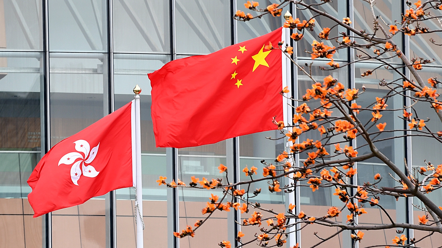 中國駐英國使館發(fā)表聲明 強烈譴責英方無理指責香港特區(qū)政府