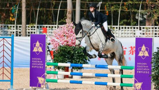 首屆深灣國際馬文化產(chǎn)業(yè)博覽交易會(huì)亮相第二十屆文博會(huì)