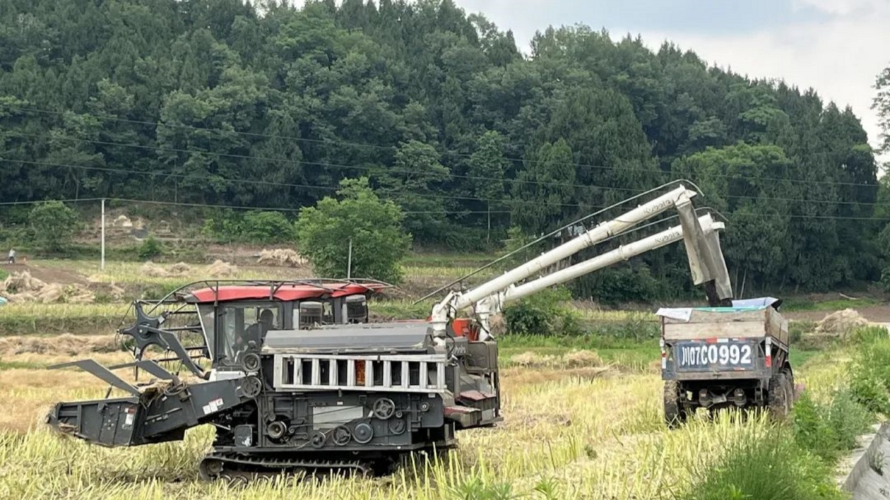 四川鹽亭「一站式」服務農(nóng)機手  保障「三夏」生產(chǎn)高效