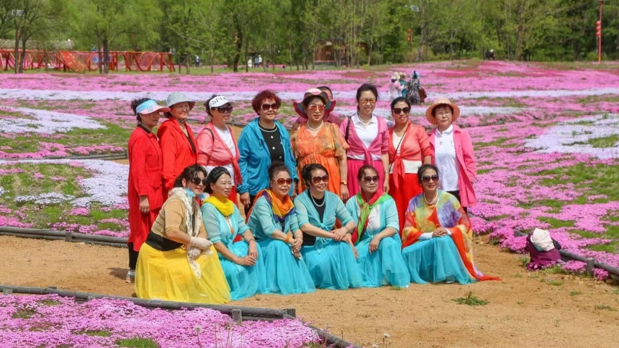 黑龍江寶清：世界最大芝櫻花海進(jìn)入盛開(kāi)期