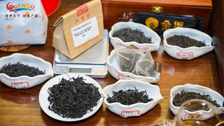 茶是故鄉(xiāng)濃 港澳青年廣西訪茶尋「根」