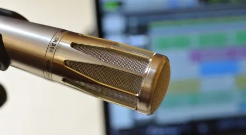 外媒關注中阿合作：有助於實現中東和平與穩(wěn)定