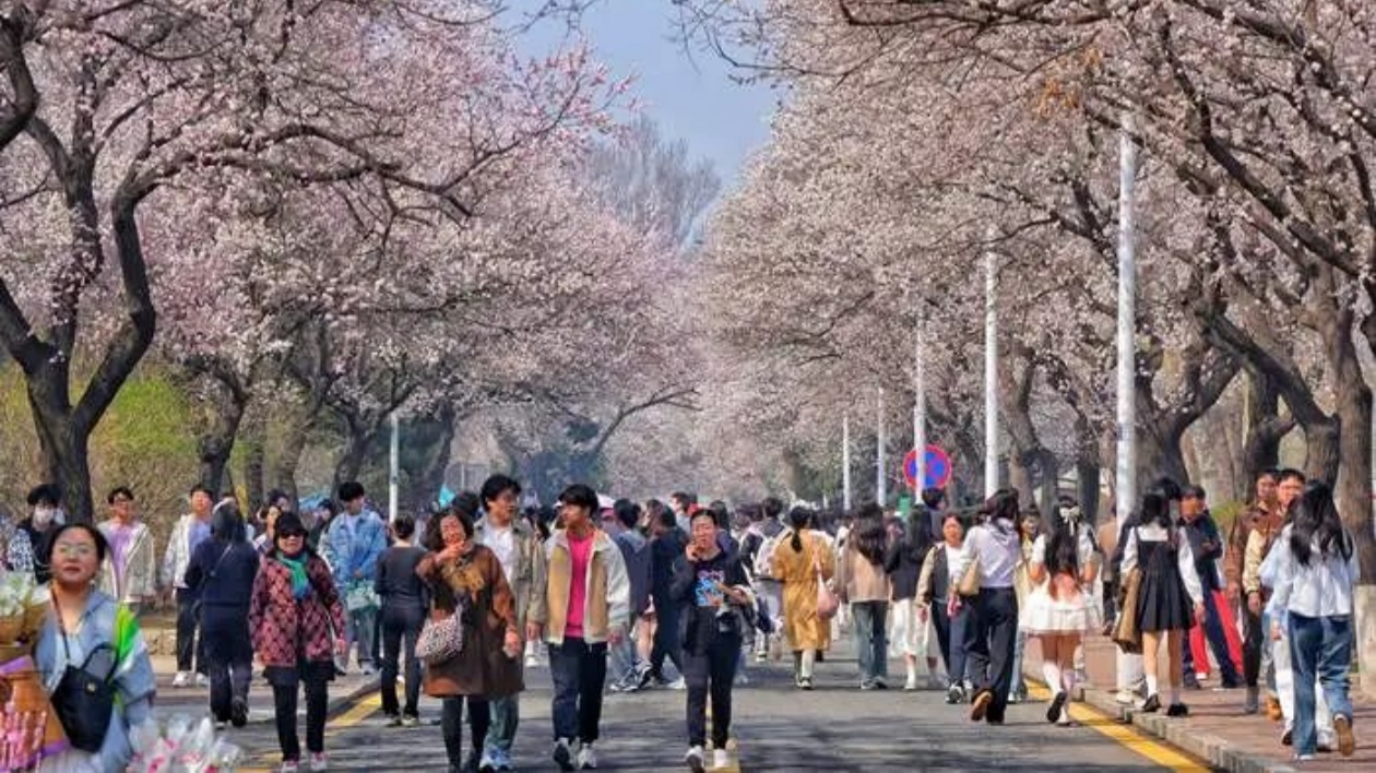 吉林省文旅衝刺萬億級(jí)規(guī)模之「寵粉」策