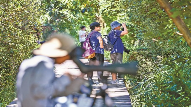 深圳打造綠色發(fā)展會(huì)客廳