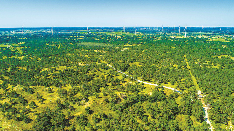 防沙治沙 中國(guó)新設(shè)「三北」工程補(bǔ)助資金