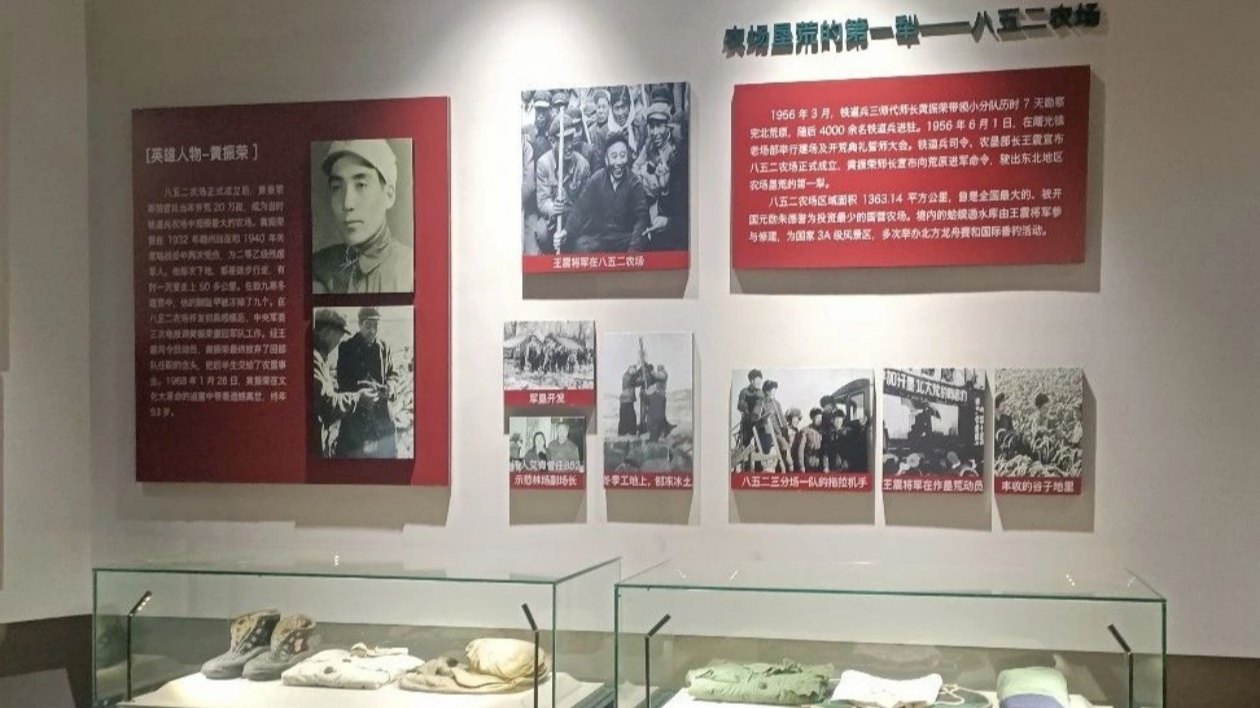 黑龍江集賢縣稅務(wù)局：打造「清風(fēng)窗口」 提高「好辦事」的便利和「辦成事」的效率