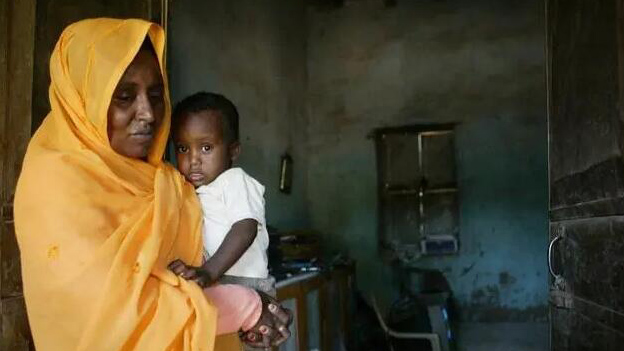 聯(lián)合國：未來半年全球多地糧食不安全狀況將進(jìn)一步惡化