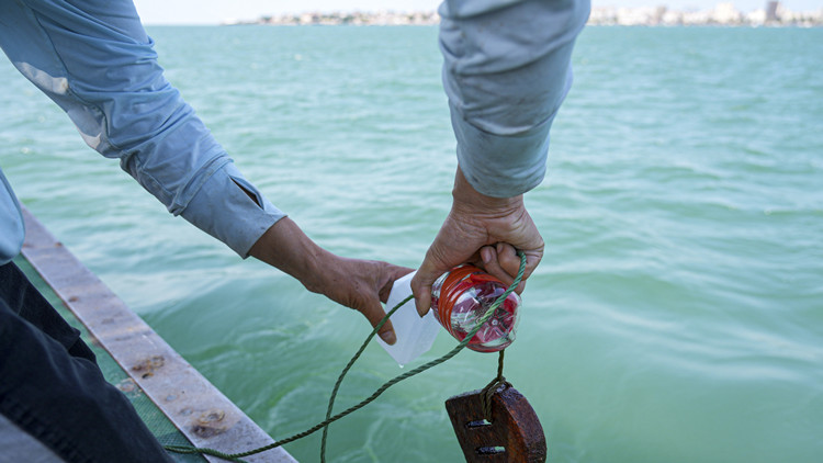 廣東海洋經(jīng)濟(jì)總量連續(xù)29年居中國首位