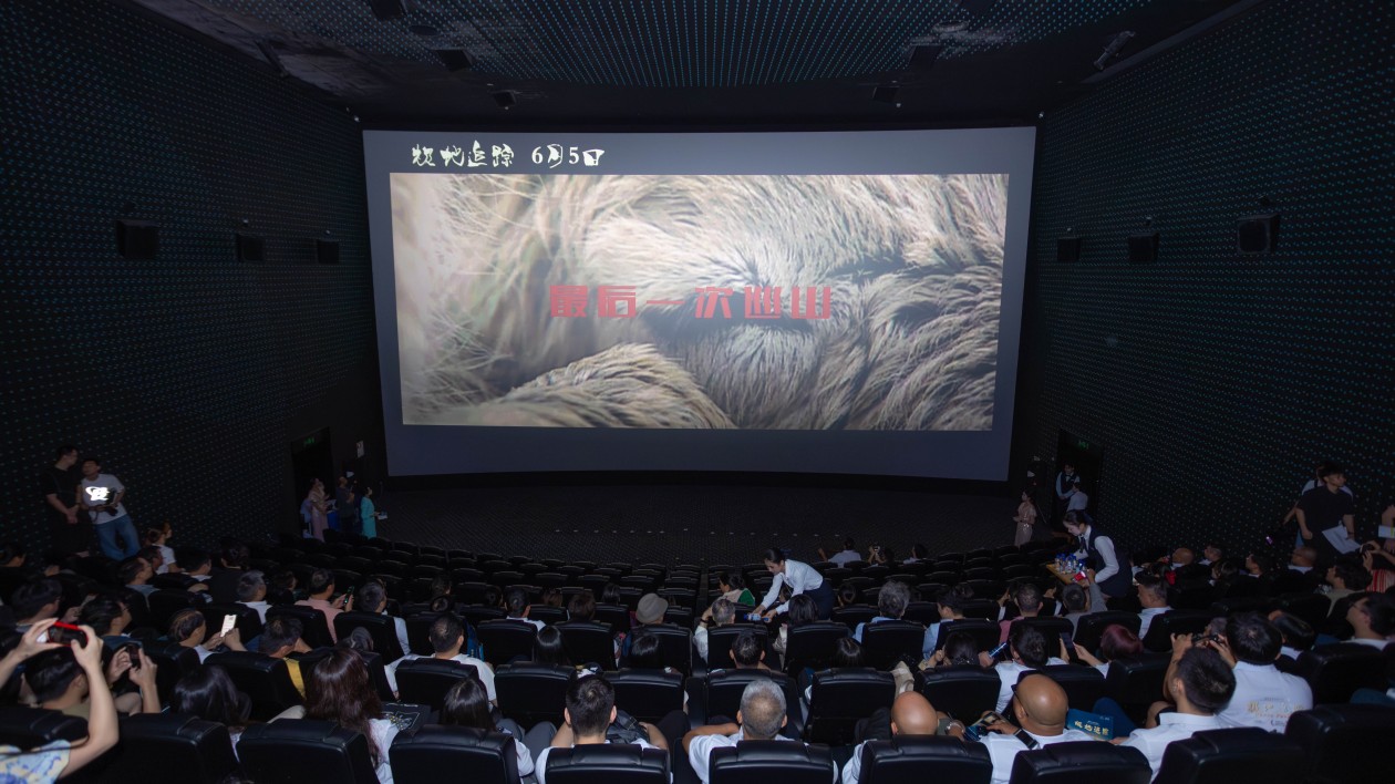 全球首部紀錄電影《藏羚王之寶貝日記——極地追蹤》深圳龍華首映