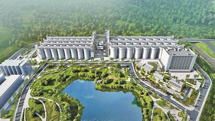 深汕糧食儲(chǔ)備庫(kù)將打造國(guó)家一流糧食儲(chǔ)備、物流、加工園區(qū)