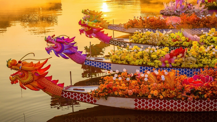 大灣區(qū)人為何對「扒龍船」這麼上頭？