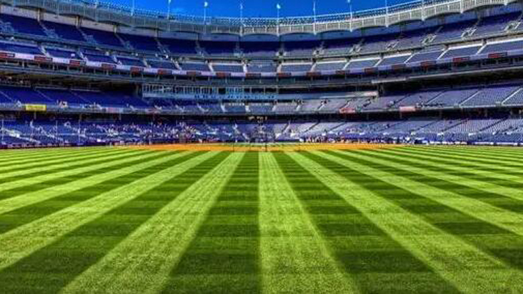 國(guó)足十八強(qiáng)賽主場(chǎng)在哪裏踢？中國(guó)足協(xié)發(fā)布場(chǎng)地徵集通知