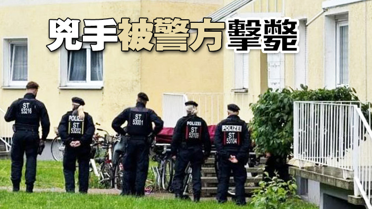 德國男子持刀闖私人聚會(huì)行兇 致1死3傷