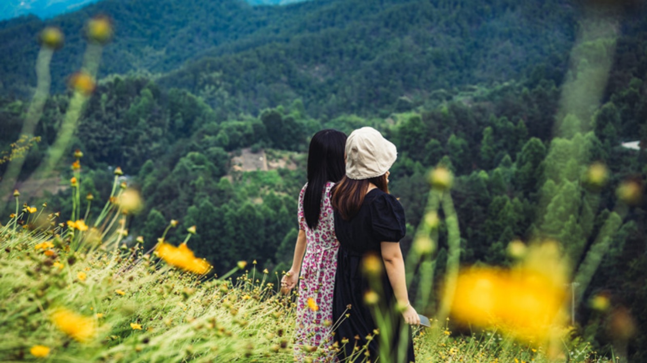 皖歙縣杞梓裏鎮(zhèn)：傳播「接地氣」  風(fēng)景「走出圈」