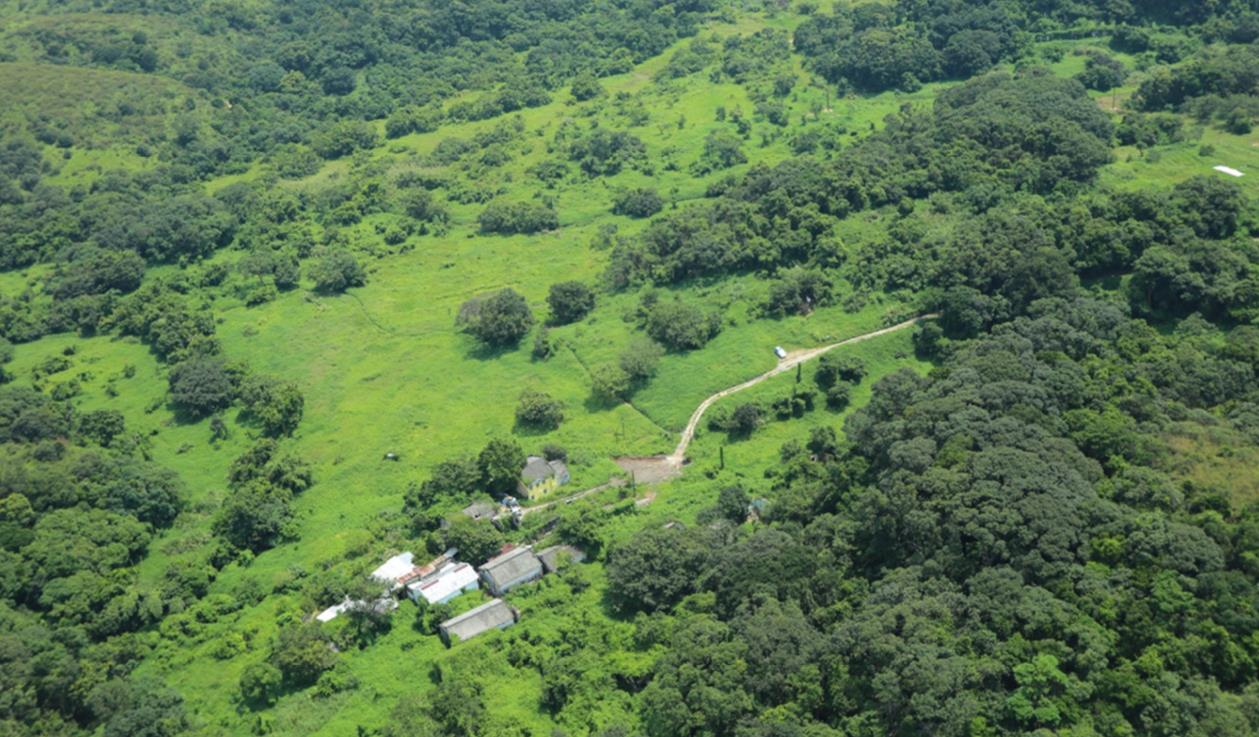 新一輪鄉(xiāng)郊保育資助計劃批5項目 涉資3900萬元