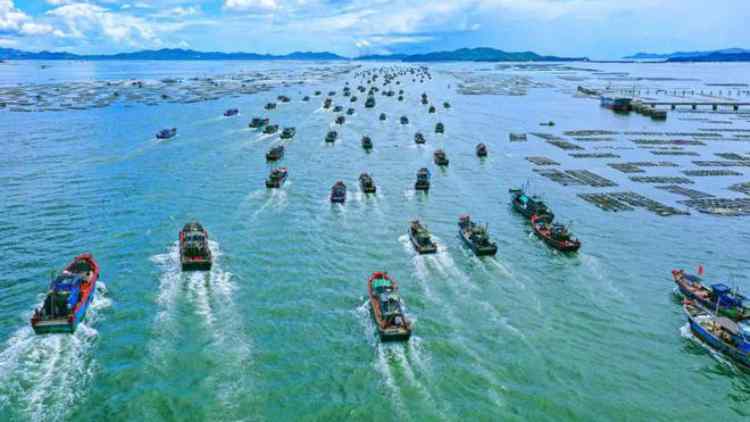 廣東財政統(tǒng)籌安排超40億元支持打造「海上新廣東」