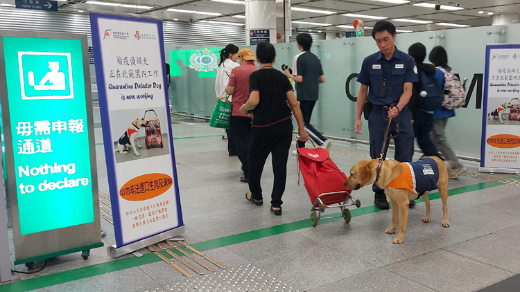 海關聯(lián)同食安中心執(zhí)法 發(fā)現(xiàn)15宗非法攜帶生肉家禽等受規(guī)管食物入境