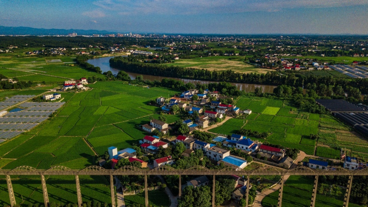 湖南長(zhǎng)沙縣：嚴(yán)格耕地保護(hù)  打造萬(wàn)畝糧食生產(chǎn)基地