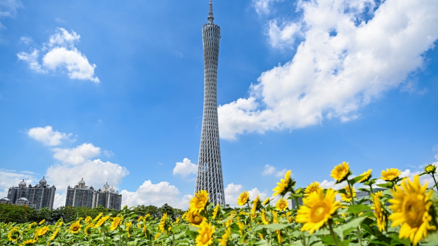 獲獎數(shù)大幅上漲 廣州26項科技成果榮獲2023年國家科學(xué)技術(shù)獎