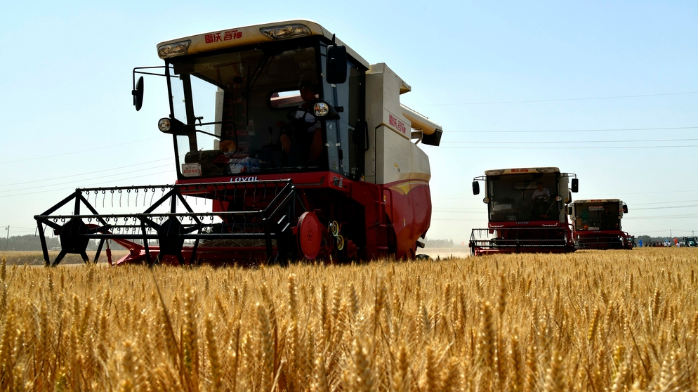 年中經(jīng)濟(jì)觀察丨極端天氣頻發(fā)會(huì)否影響中國(guó)糧食安全？