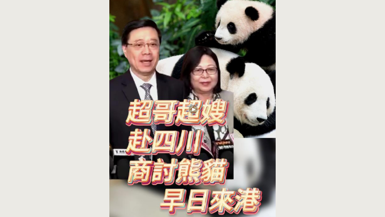 有片 | 超哥超嫂赴四川 商討大熊貓?jiān)缛諄?lái)港