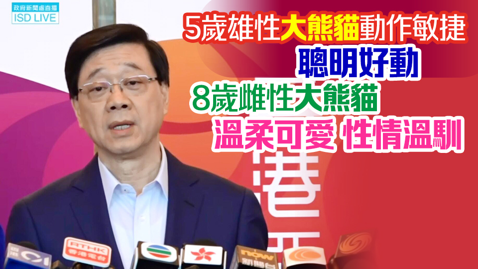 李家超：已選定一對5至8歲大熊貓 力爭10·1到港 冀在港開枝散葉