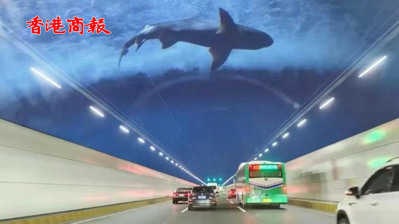 有片 | 深中通道海底隧道看不到投光燈？ 官方：已暫時關(guān)閉
