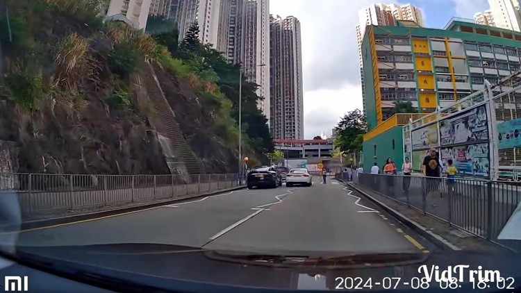 藍(lán)田私家車衝斑馬線   一對(duì)男女涉危險(xiǎn)駕駛被捕