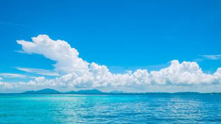 鏽蝕艦「坐灘」、氰化鈉毒魚 菲律賓如何破壞南海生態(tài)環(huán)境